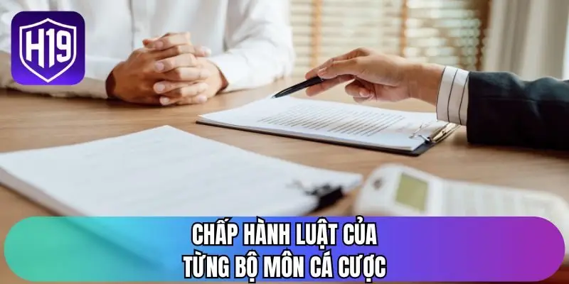 Chấp hành luật của từng bộ môn cá cược