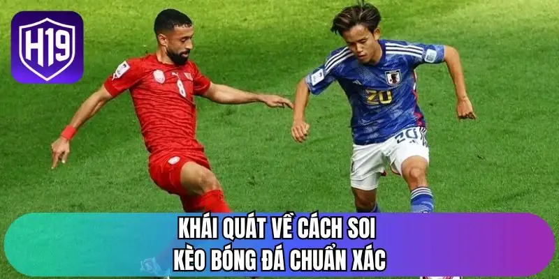 Khái quát về cách soi kèo bóng đá chuẩn xác